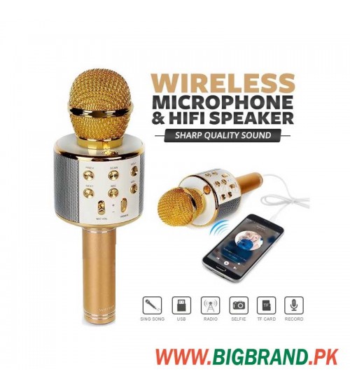 WS-858 Wireless Bluetooth Karaoke Handheld Microphone Mic